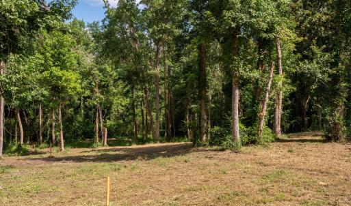 10-web-or-mls-Winding Creek Rd Lots 1 &