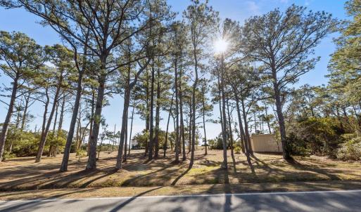 47-web-or-mls-1S3A7737