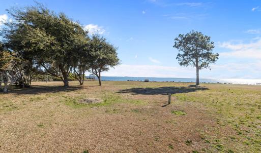 43-web-or-mls-1S3A7706