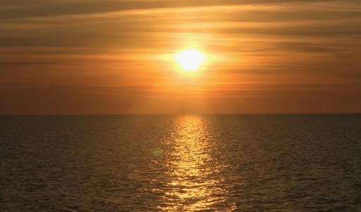 1) 60931-688a2c80c1476