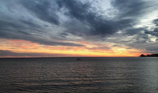 5) 60931-688a2c81b5aea