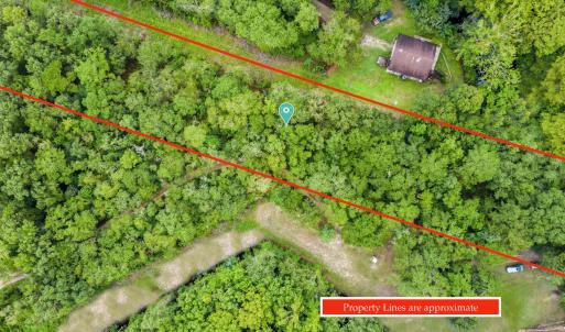 DJI_0638p