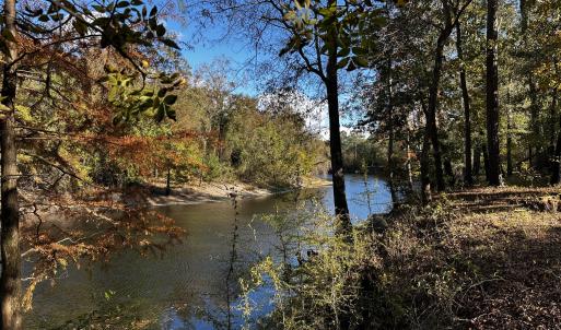 Mallard Roost nov 5