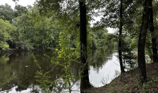 9 mallard water 4
