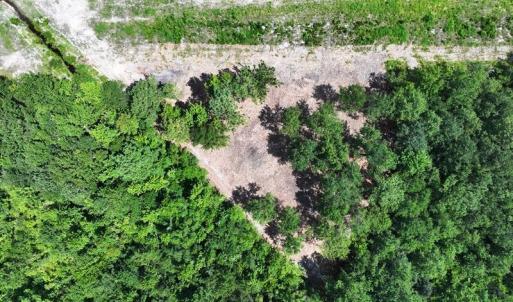 DJI_20250720041746_0589_D