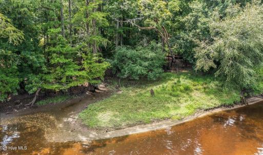 NE Cape Fear River