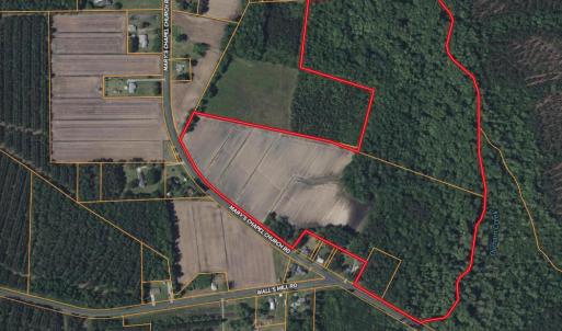 Screenshot 2025-08-05 at 12.25.59PM