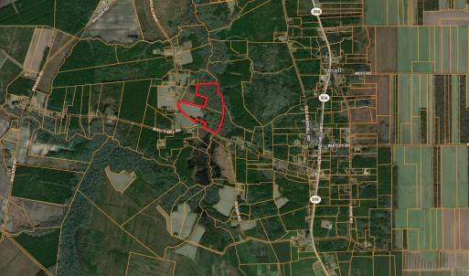 Screenshot 2025-08-05 at 12.26.47PM