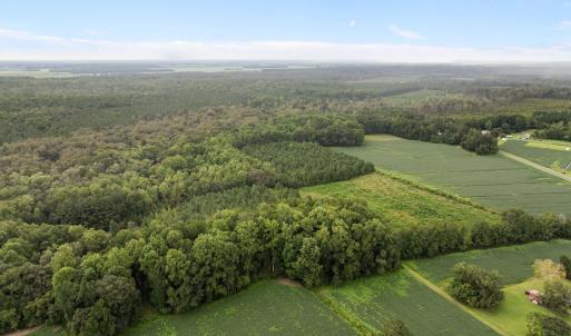 8-web-or-mls-DJI_0691