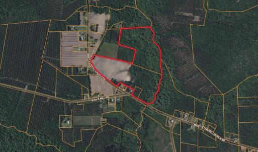 Screenshot 2025-08-05 at 12.26.22PM