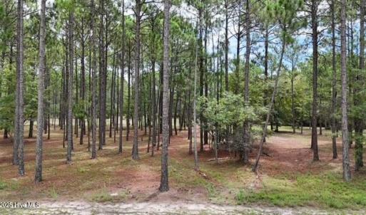 Front View of Lot from the Road