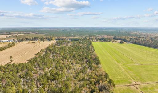 2-web-or-mls-DJI_0104