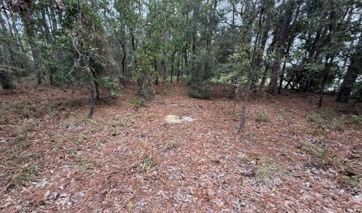 36F8AB26-EF06-471B-9AC4-7A203FEE372D