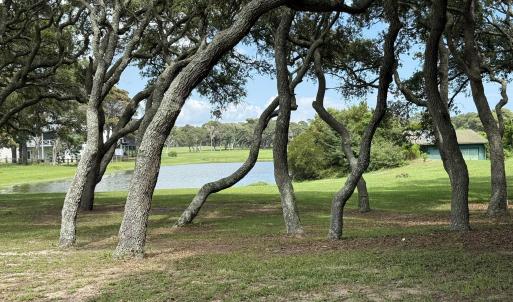 Pond view