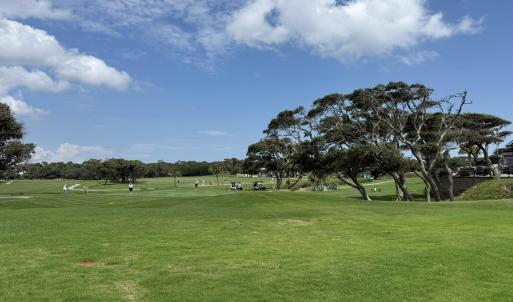 The golf course