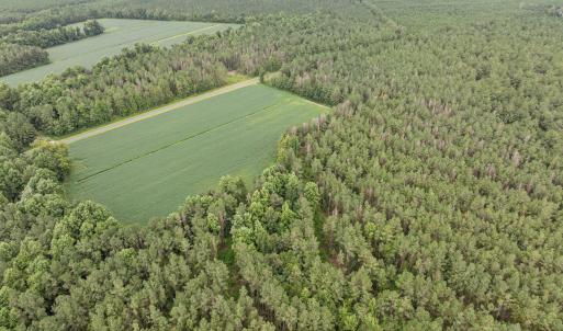 3-web-or-mls-DJI_0713