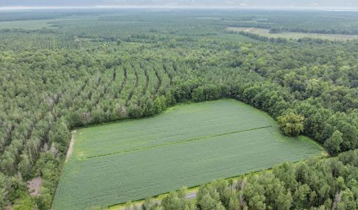 1-web-or-mls-DJI_0715