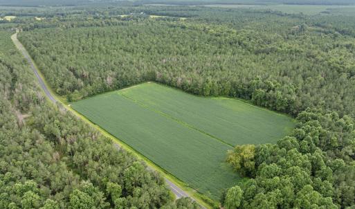 2-web-or-mls-DJI_0712