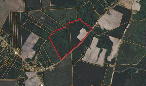 Screenshot 2025-08-06 at 10.08.52AM