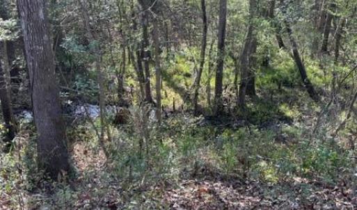 Back of property wet stream