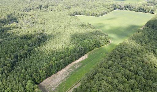13 acre open field