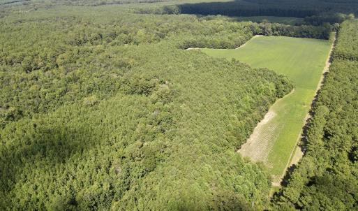 68 acres woodland