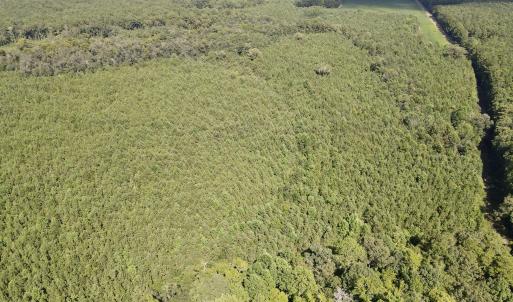 dji_fly_20250815_153638_990_175528807715