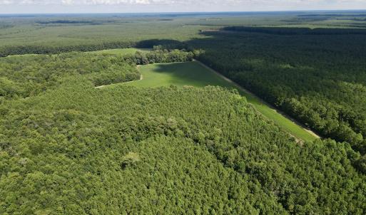 13 acre open field