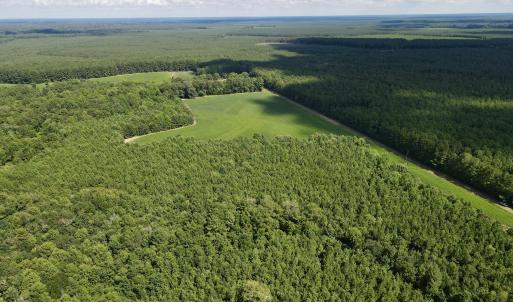 13 acre open field