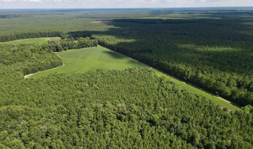 13 acre open field
