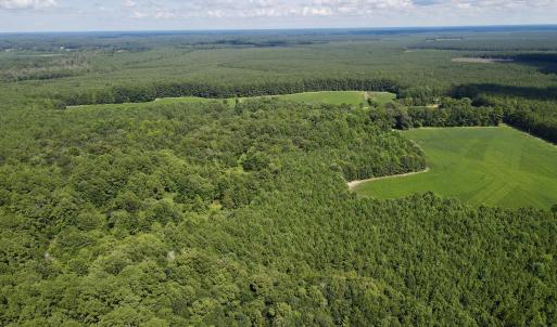 Both open fields