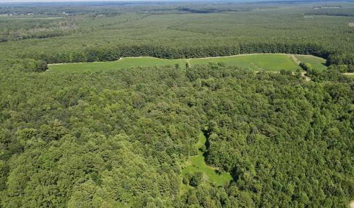 13 acre open field
