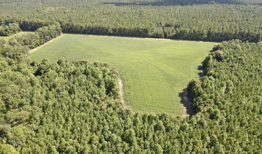 13 acre open field