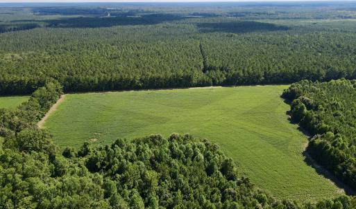 13 acre open field