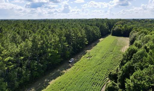 13 acre open field