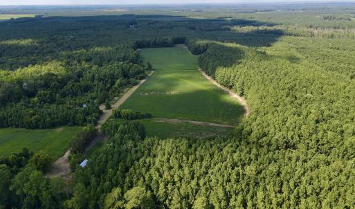 Back 30 ac cleared field