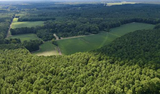 Back 30 ac cleared field