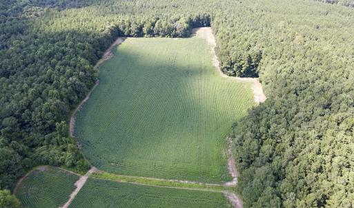 dji_fly_20250815_155242_19_1755288142141