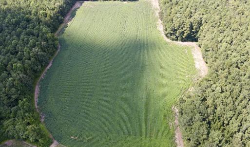 dji_fly_20250815_155254_20_1755288145906