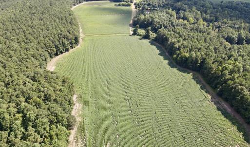 dji_fly_20250815_155410_22_1755288153192