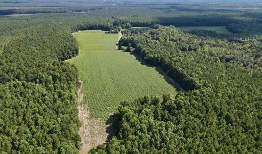 dji_fly_20250815_155456_23_1755288157329