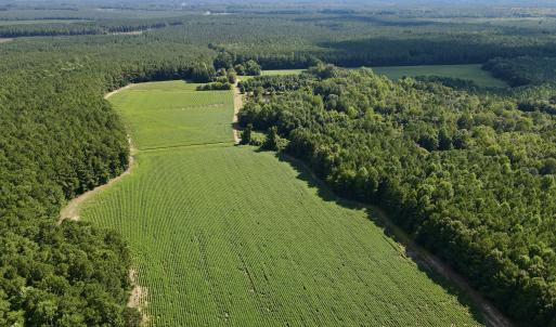 dji_fly_20250815_155516_24_1755288161056
