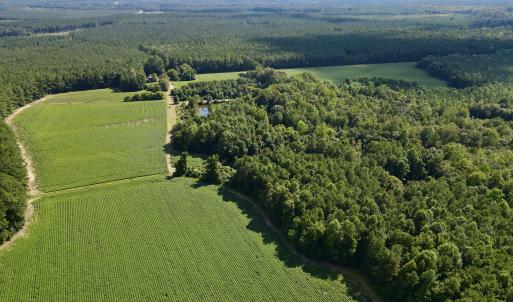 dji_fly_20250815_155528_25_1755288165580