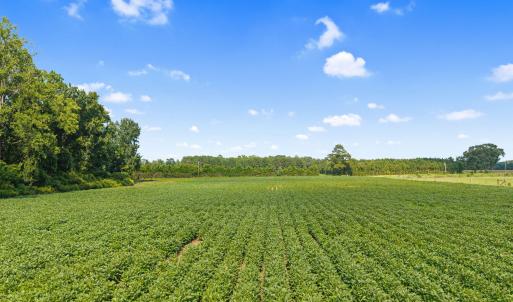 18-web-or-mls-CAMMediaLLC.com (18 of 19)