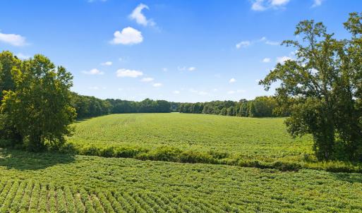 11-web-or-mls-CAMMediaLLC.com (11 of 19)