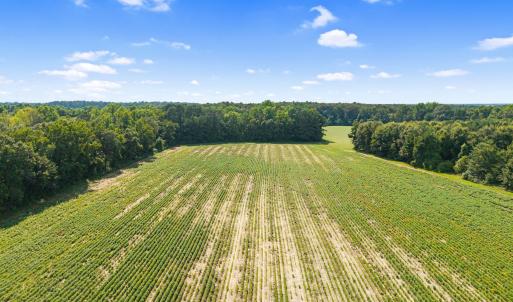 13-web-or-mls-CAMMediaLLC.com (13 of 19)