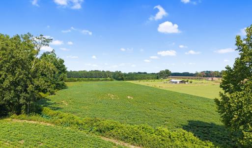 12-web-or-mls-CAMMediaLLC.com (12 of 19)