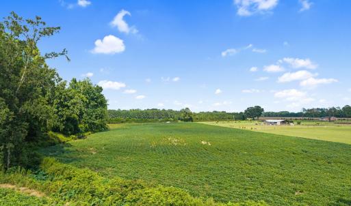 17-web-or-mls-CAMMediaLLC.com (17 of 19)