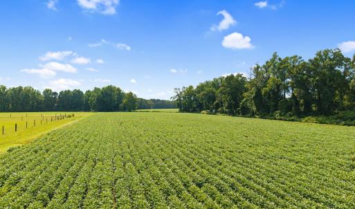 10-web-or-mls-CAMMediaLLC.com (10 of 19)