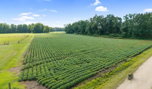 19-web-or-mls-CAMMediaLLC.com (19 of 19)